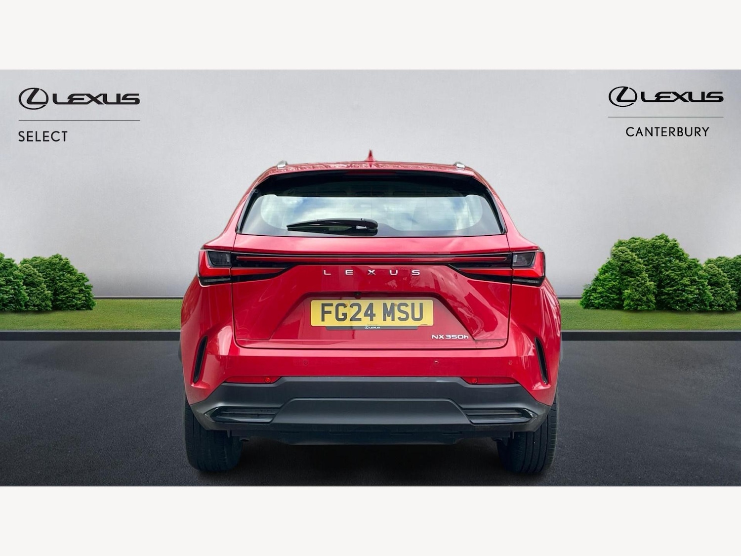 Used Lexus NX 2024 for sale - 77565094: Photo 7