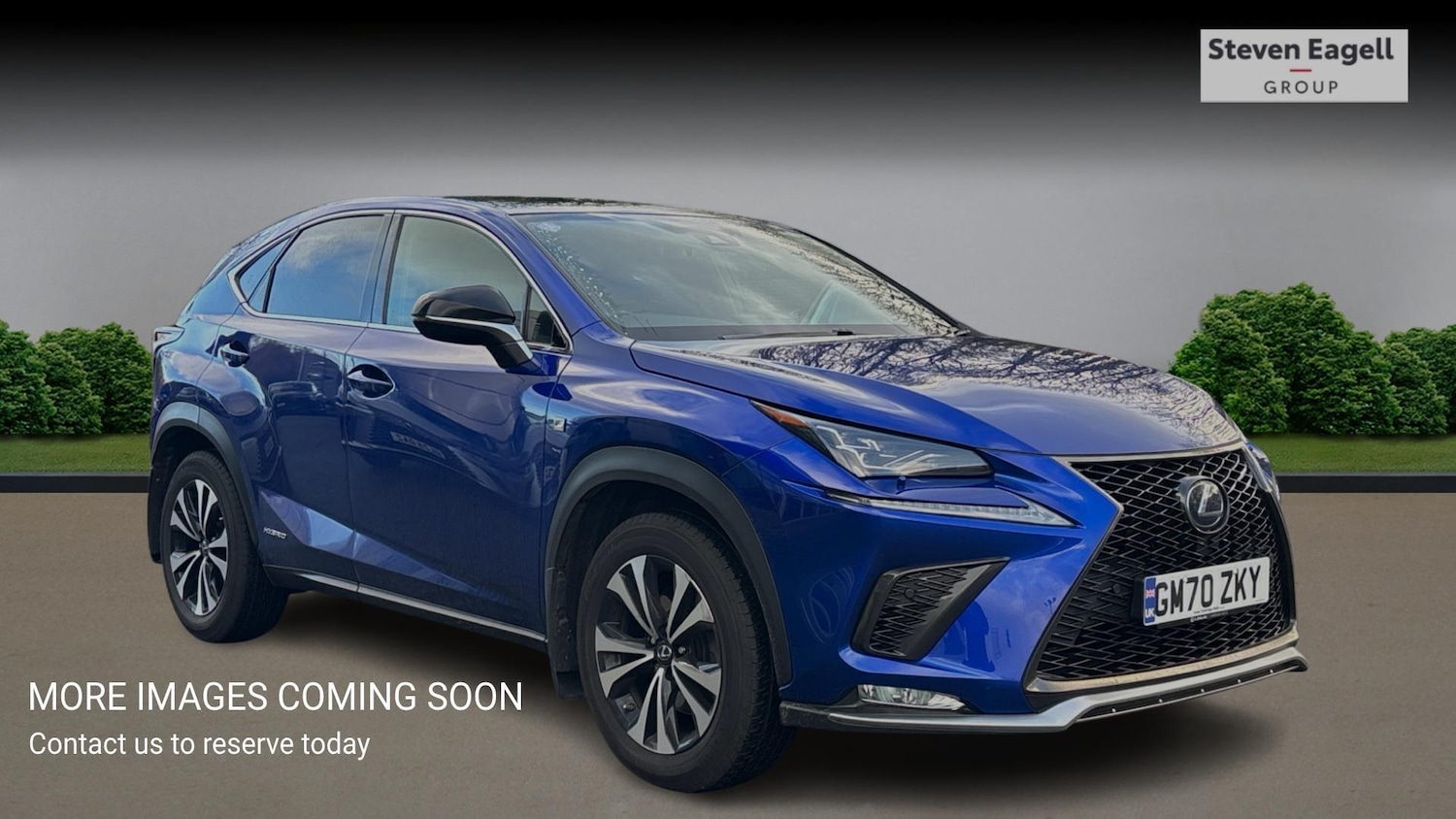 Used Lexus NX for sale - 77278753: Photo 1
