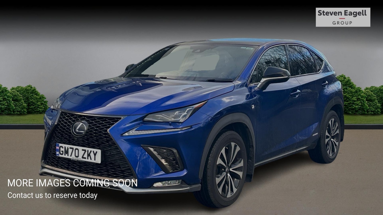 Used Lexus NX for sale - 77278753: Photo 3