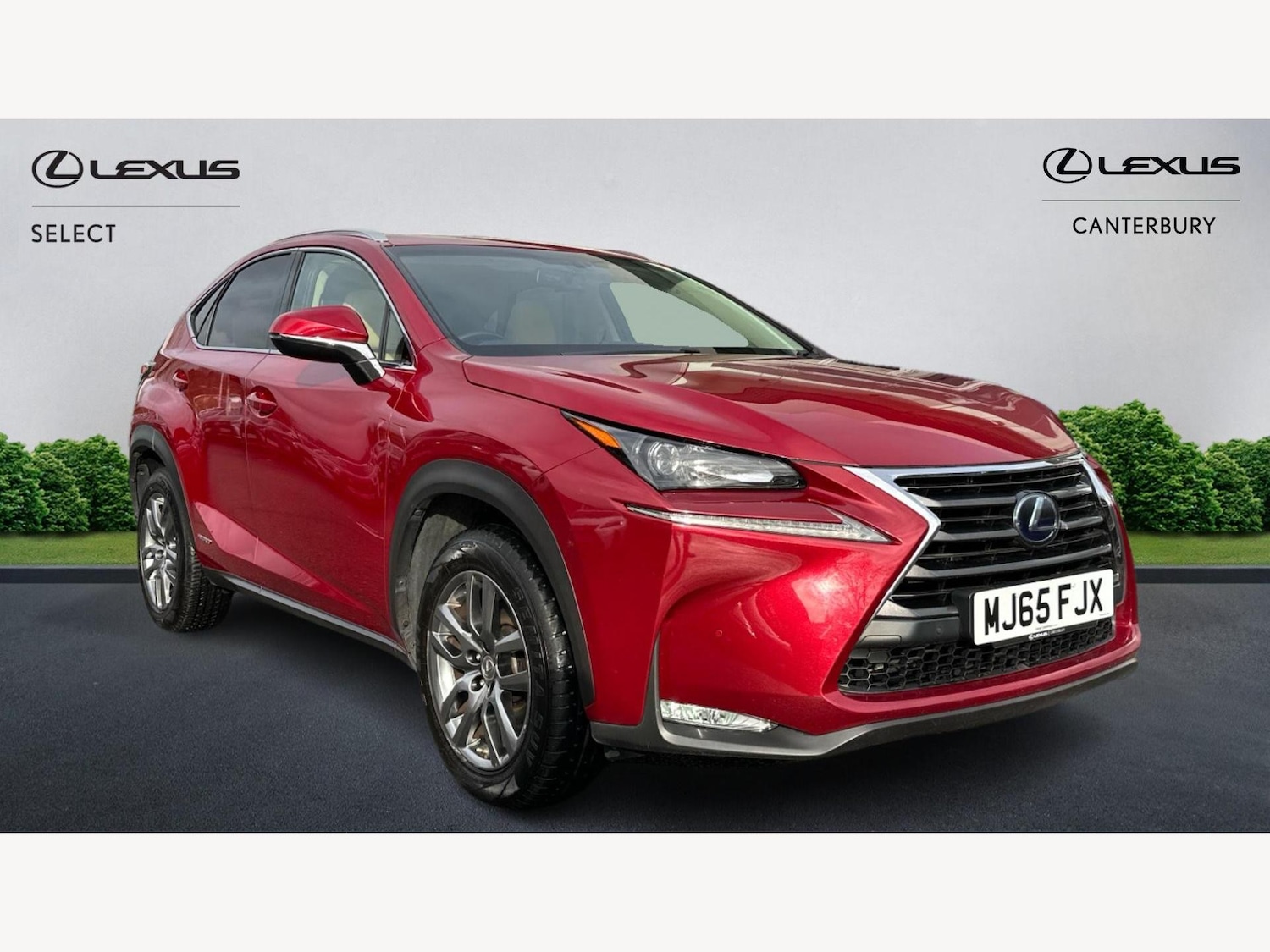 Used Lexus NX 2015 for sale - 76689997: Photo 1