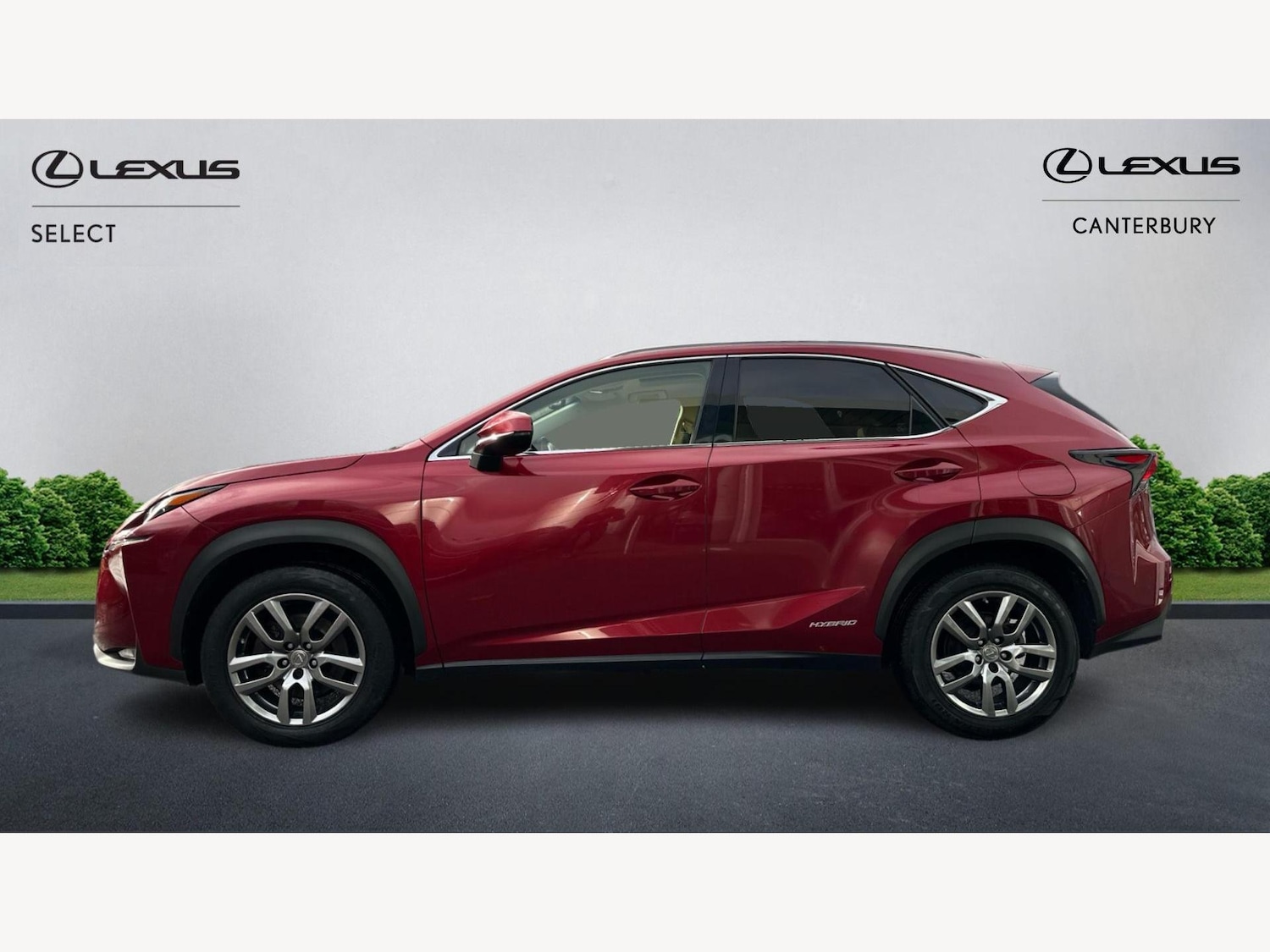 Used Lexus NX 2015 for sale - 76689997: Photo 3