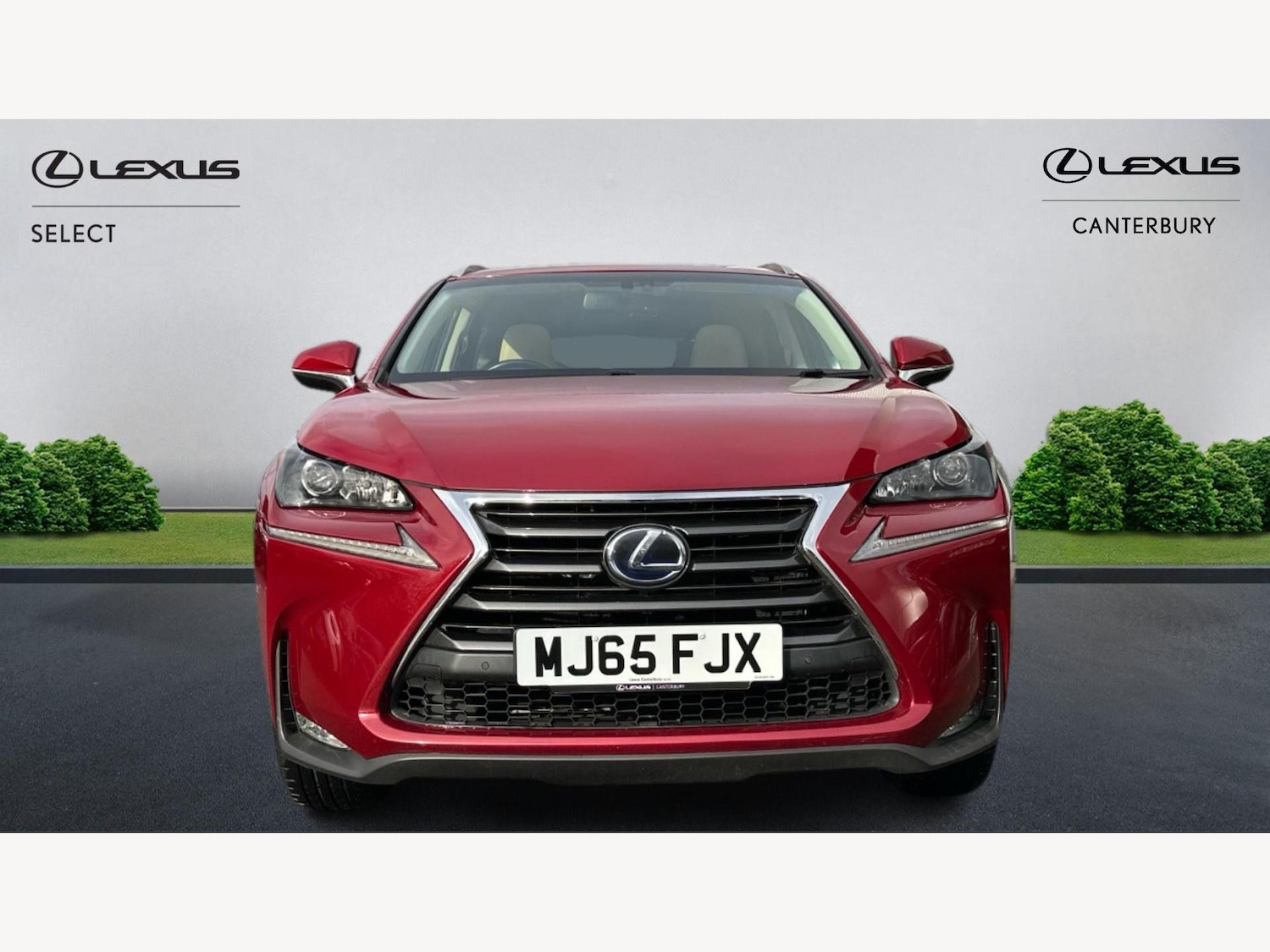 Used Lexus NX 2015 for sale - 76689997: Photo 6