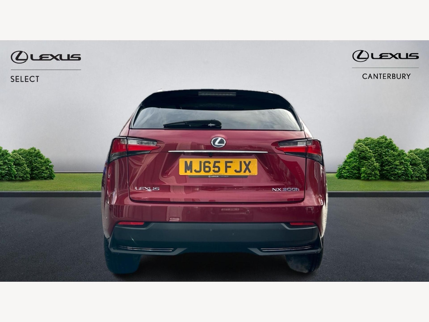 Used Lexus NX 2015 for sale - 76689997: Photo 7