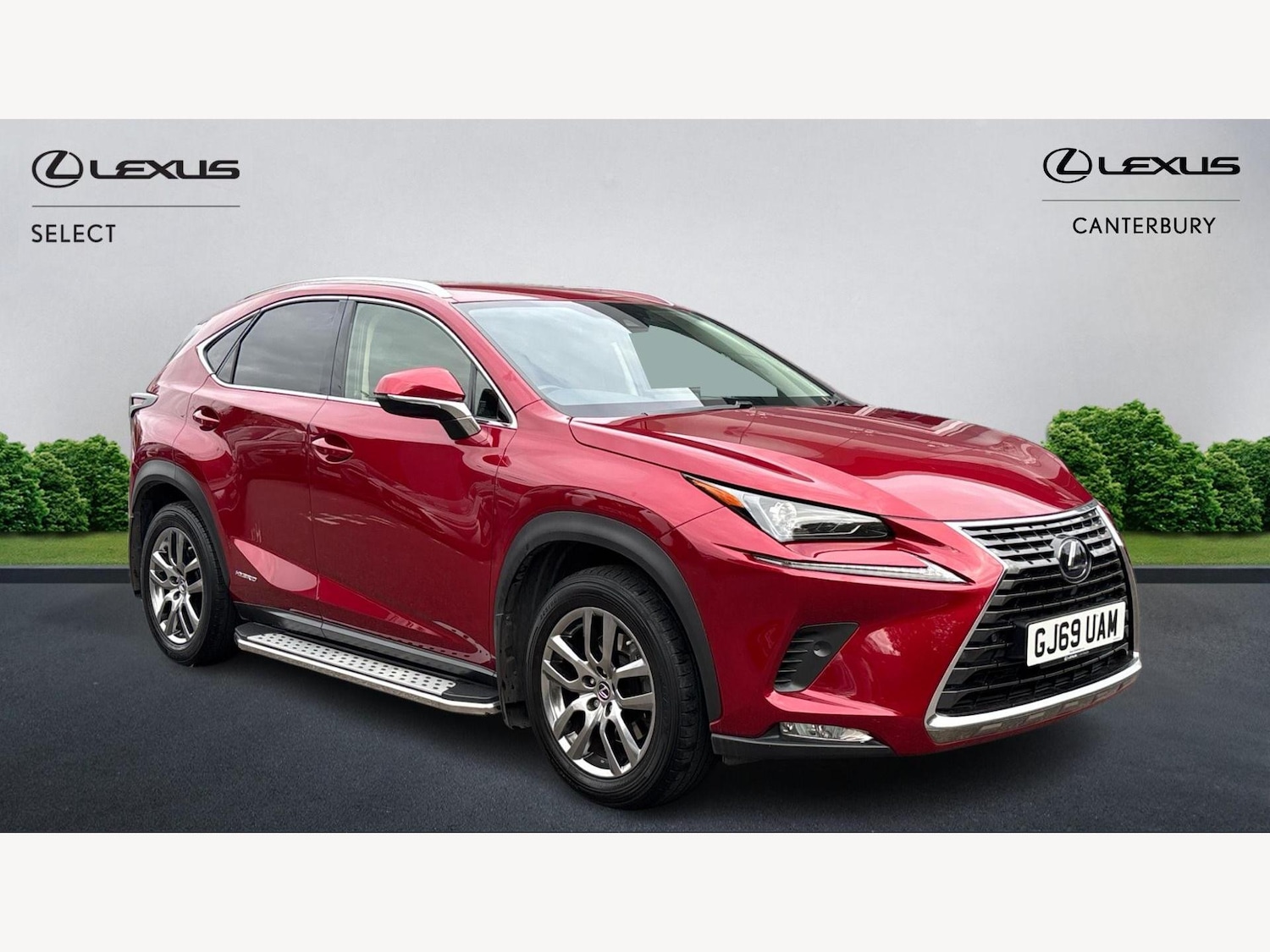 Used Lexus NX 2019 for sale - 76337337: Photo 1
