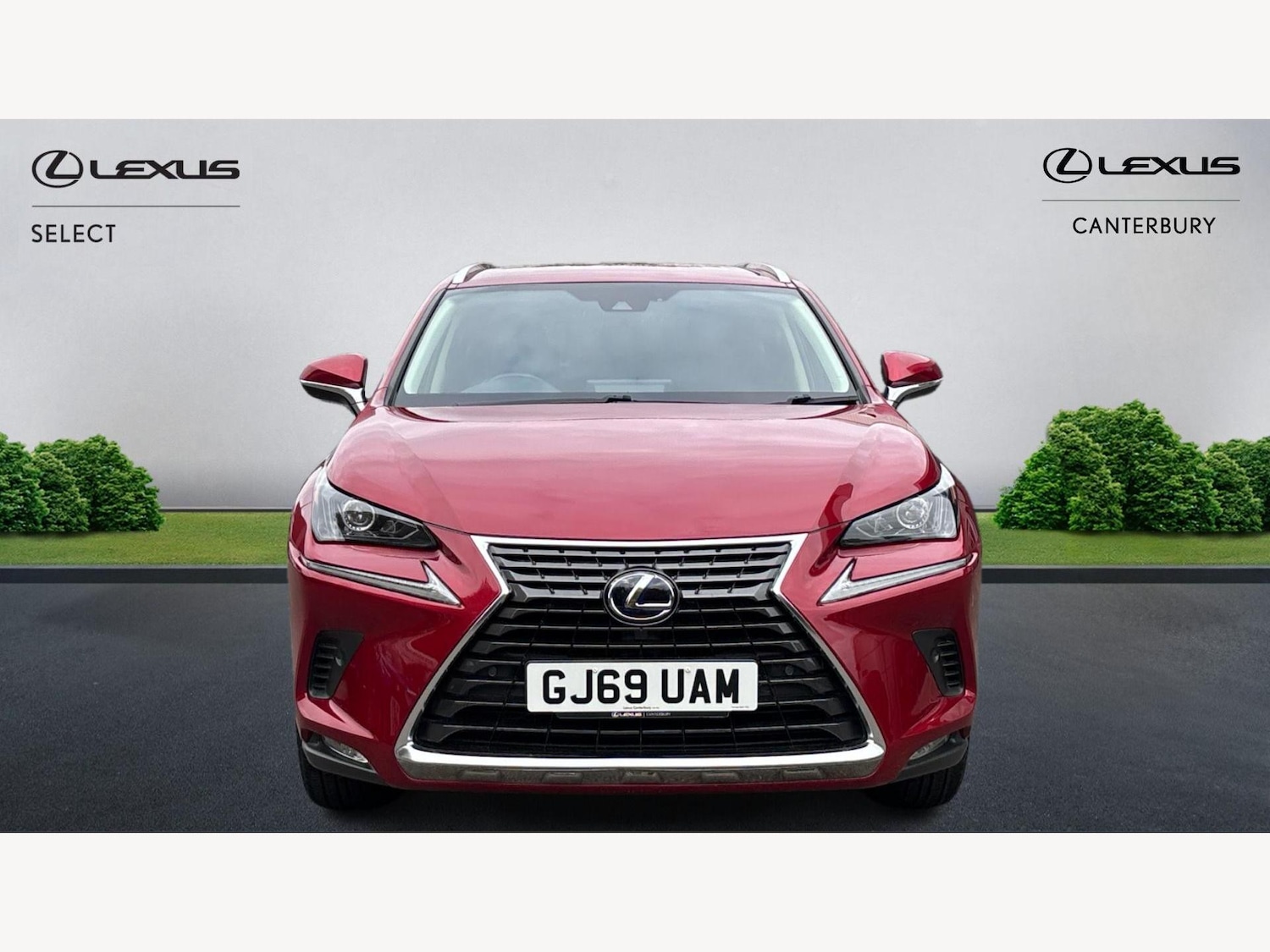 Used Lexus NX 2019 for sale - 76337337: Photo 6