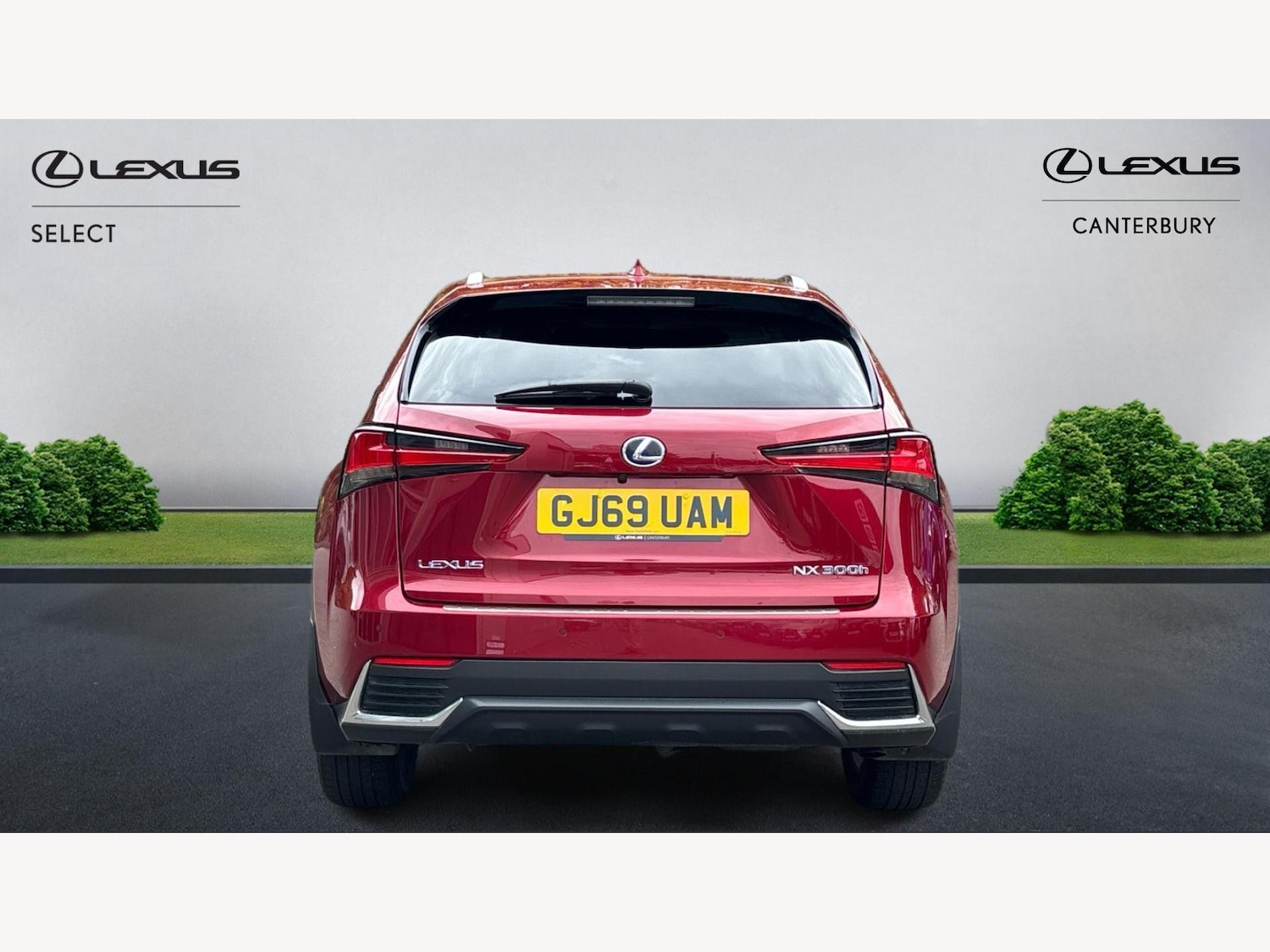 Used Lexus NX 2019 for sale - 76337337: Photo 7