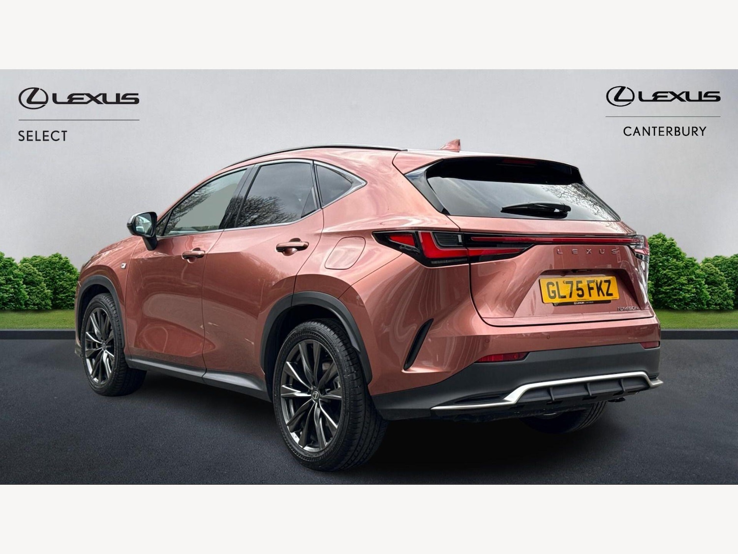 Used Lexus NX for sale - 77683141: Photo 2