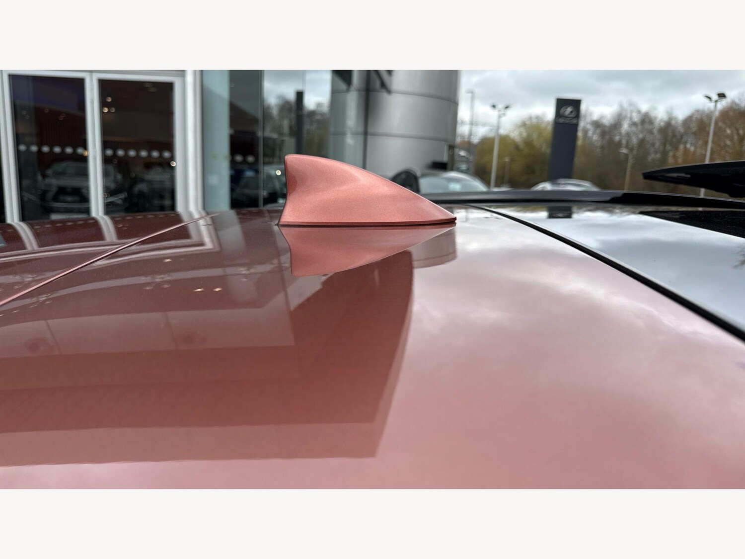 Used Lexus NX for sale - 77683141: Photo 26