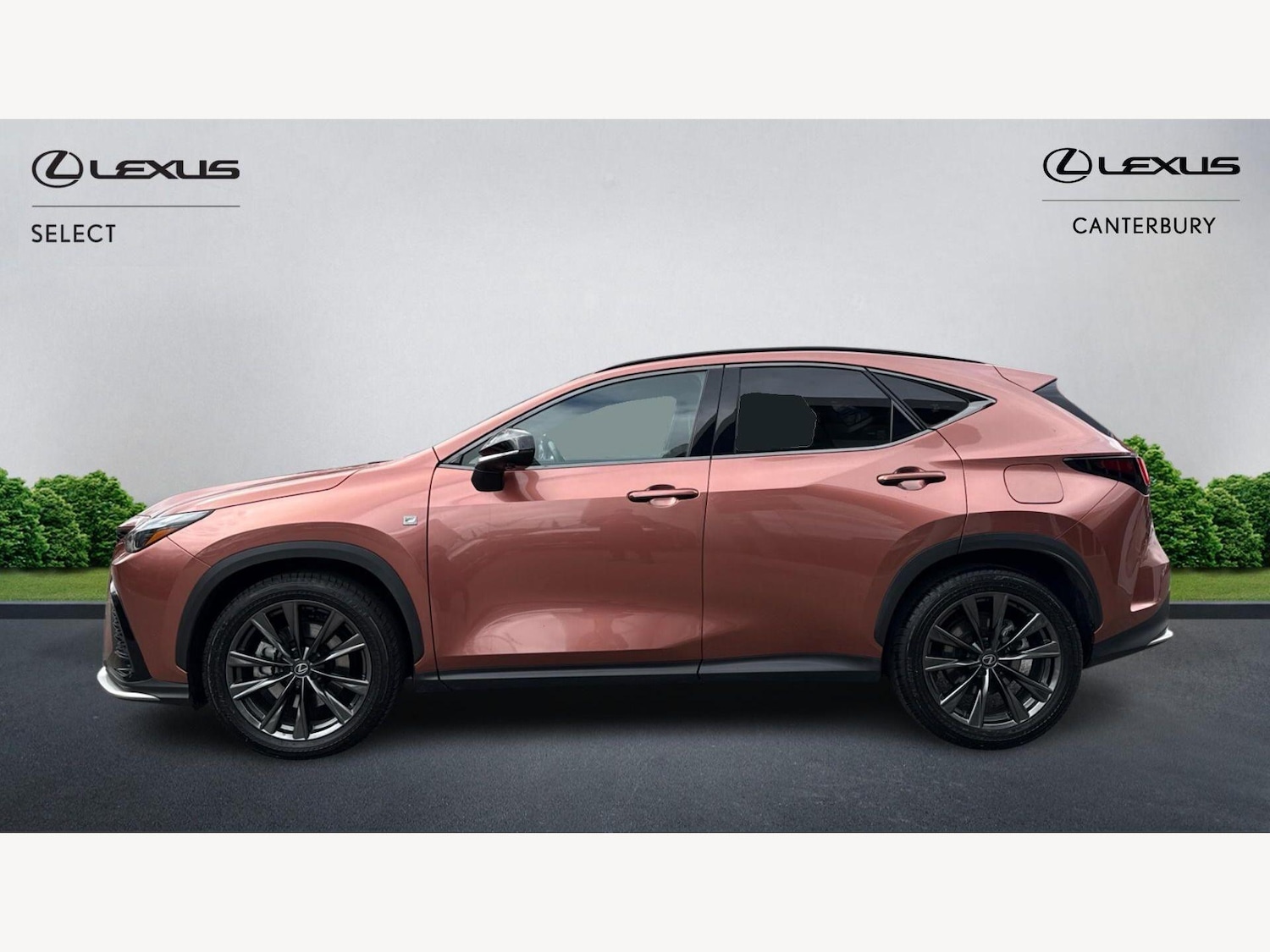 Used Lexus NX for sale - 77683141: Photo 3