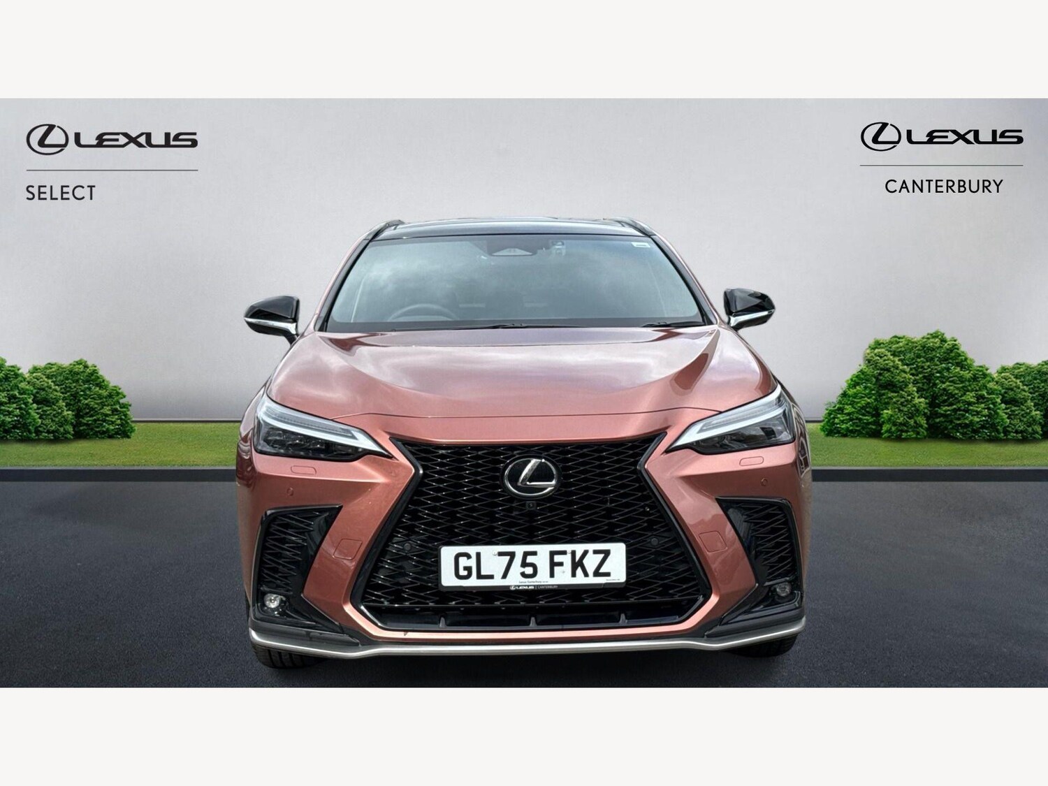 Used Lexus NX for sale - 77683141: Photo 6