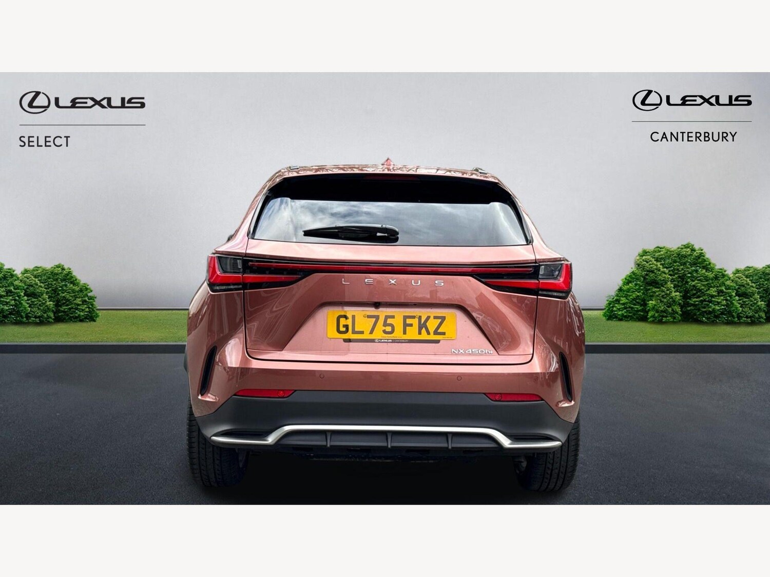 Used Lexus NX for sale - 77683141: Photo 7