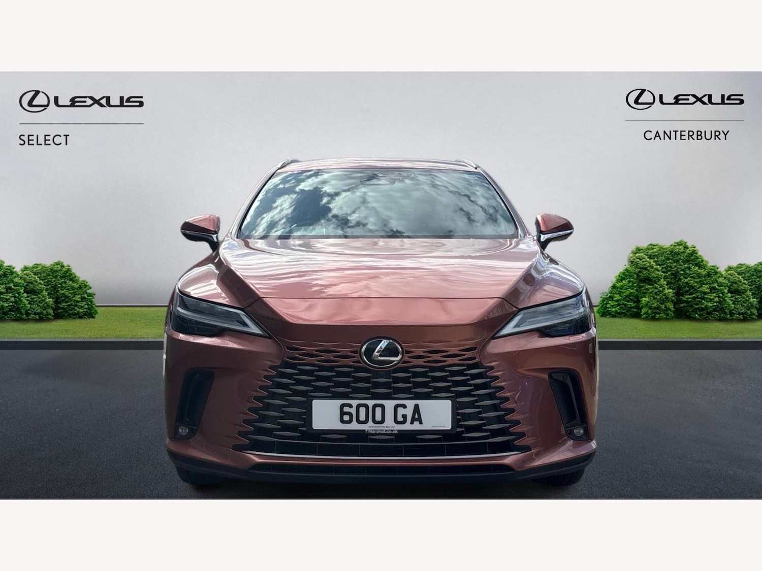 Used Lexus RX 2023 for sale - 75741483: Photo 6