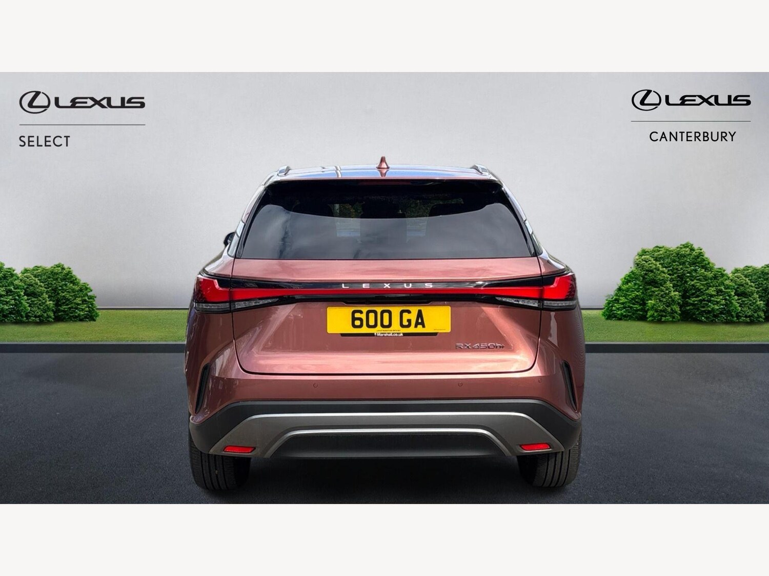 Used Lexus RX 2023 for sale - 75741483: Photo 7