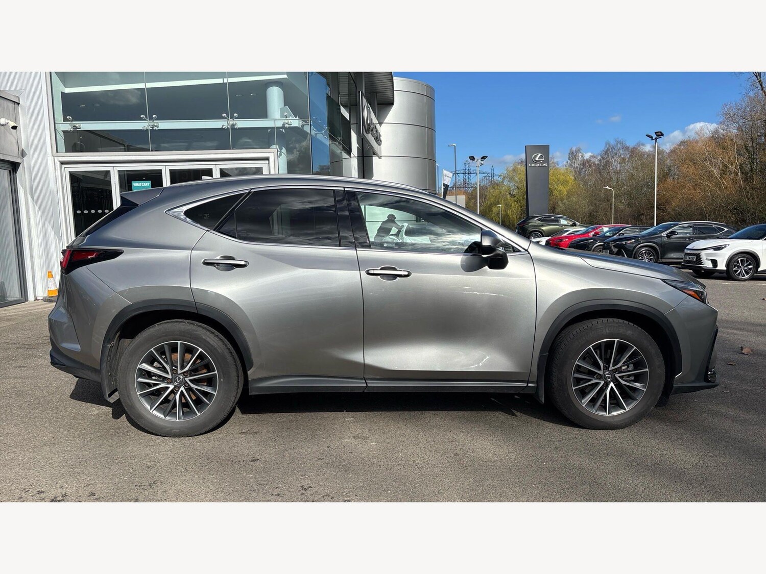Used Lexus NX for sale - 77853795: Photo 18