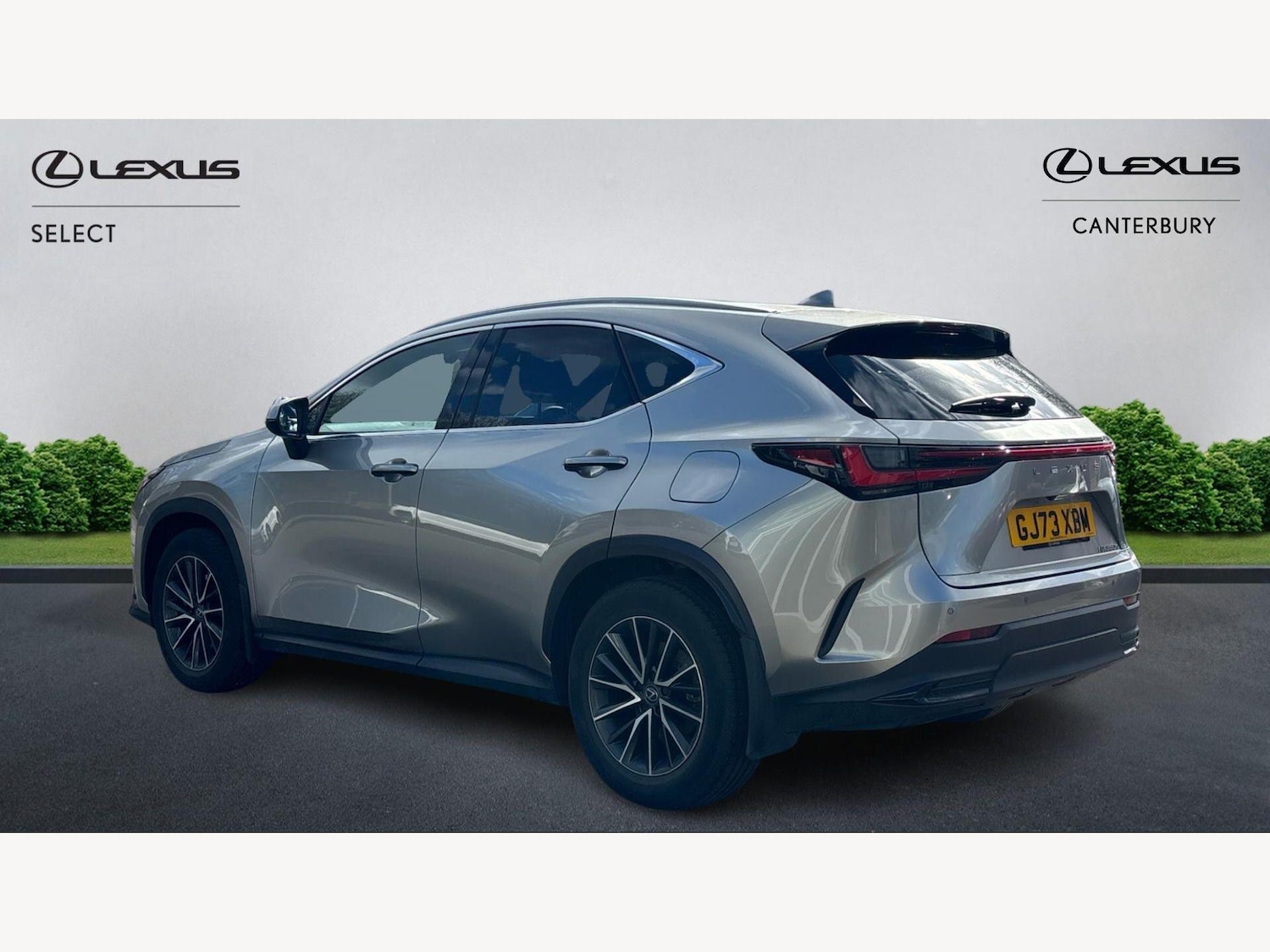 Used Lexus NX for sale - 77853795: Photo 2