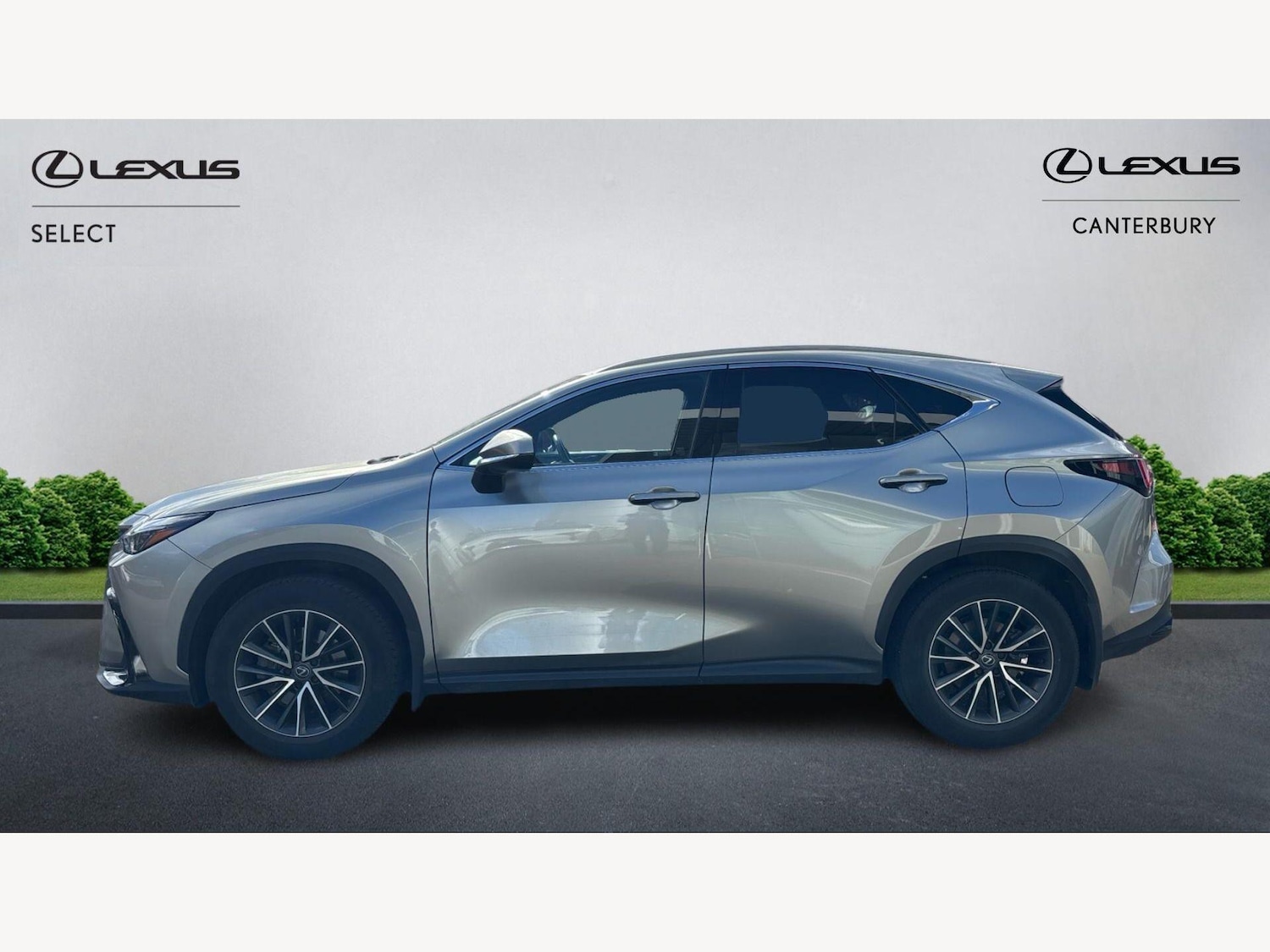 Used Lexus NX for sale - 77853795: Photo 3