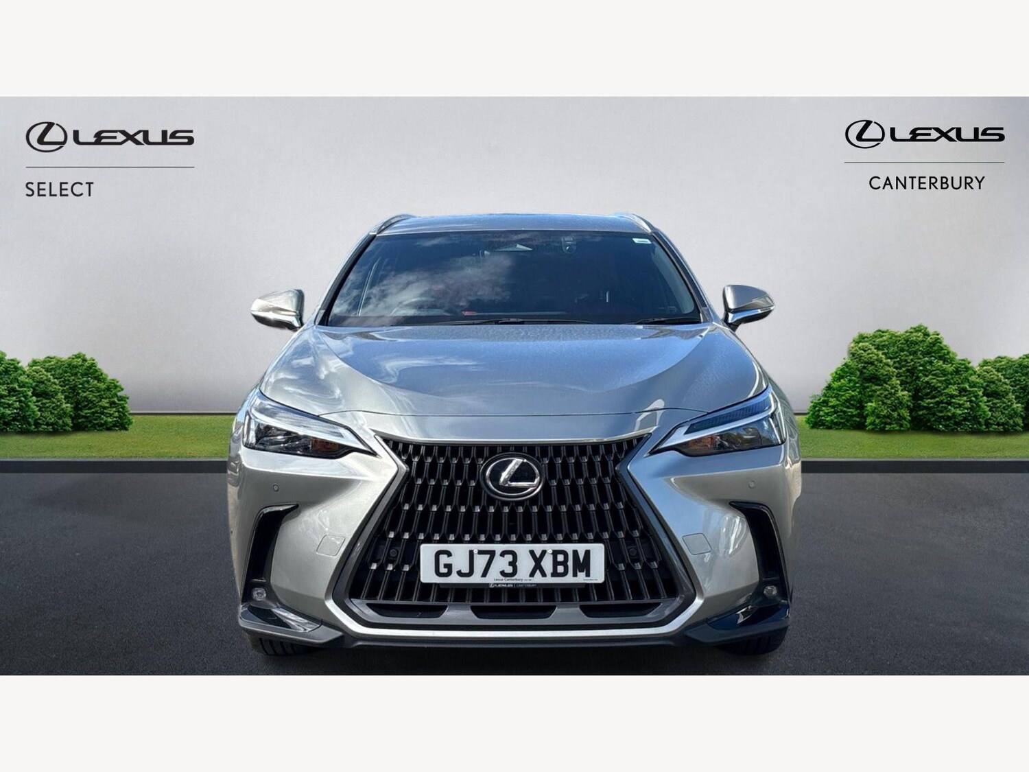 Used Lexus NX for sale - 77853795: Photo 6