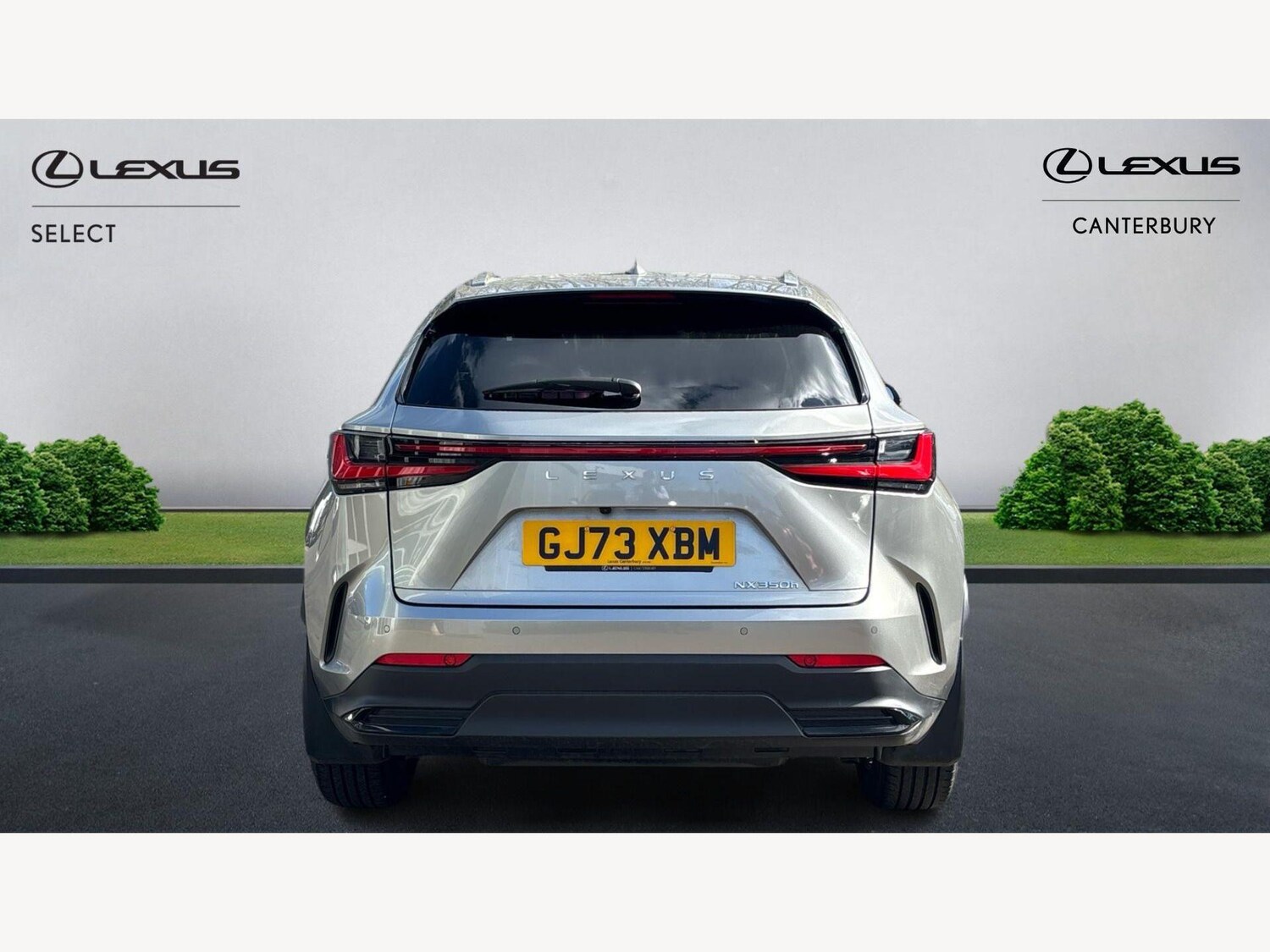 Used Lexus NX for sale - 77853795: Photo 7