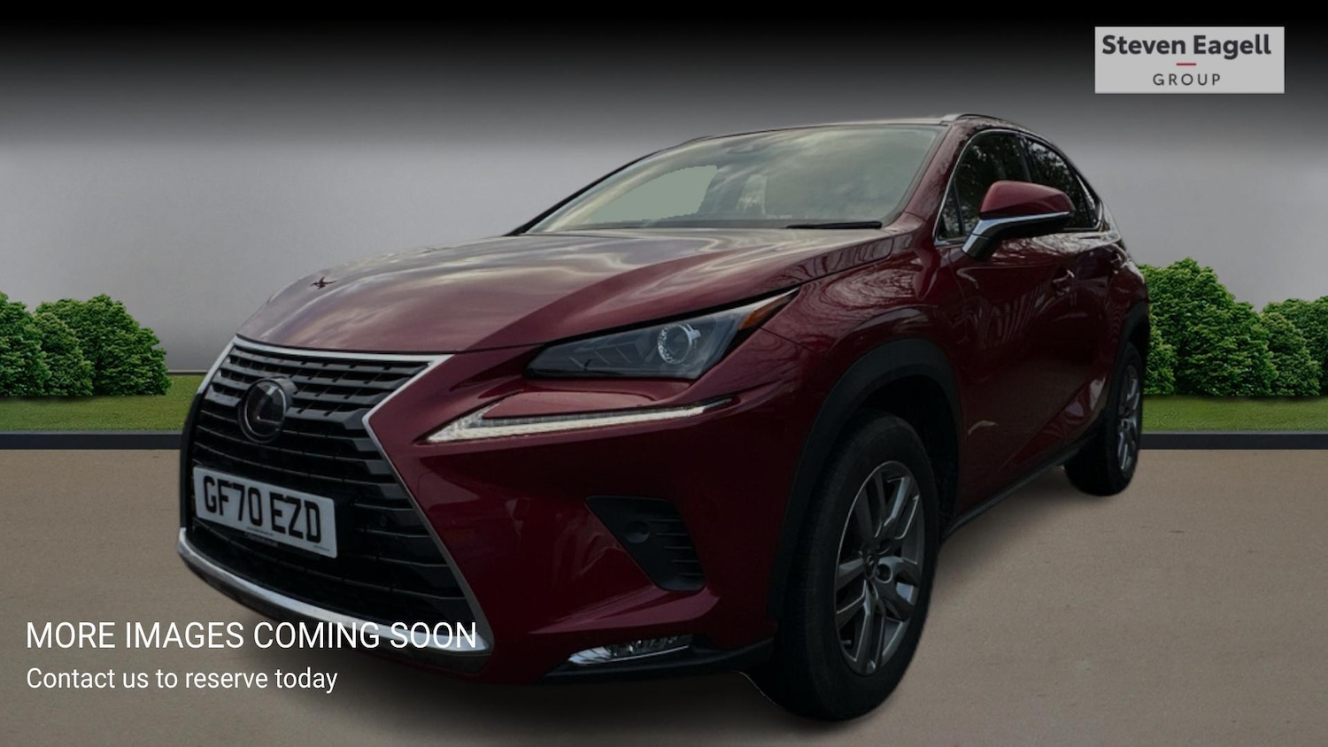 Used Lexus NX 2020 for sale - 77278913: Photo 3