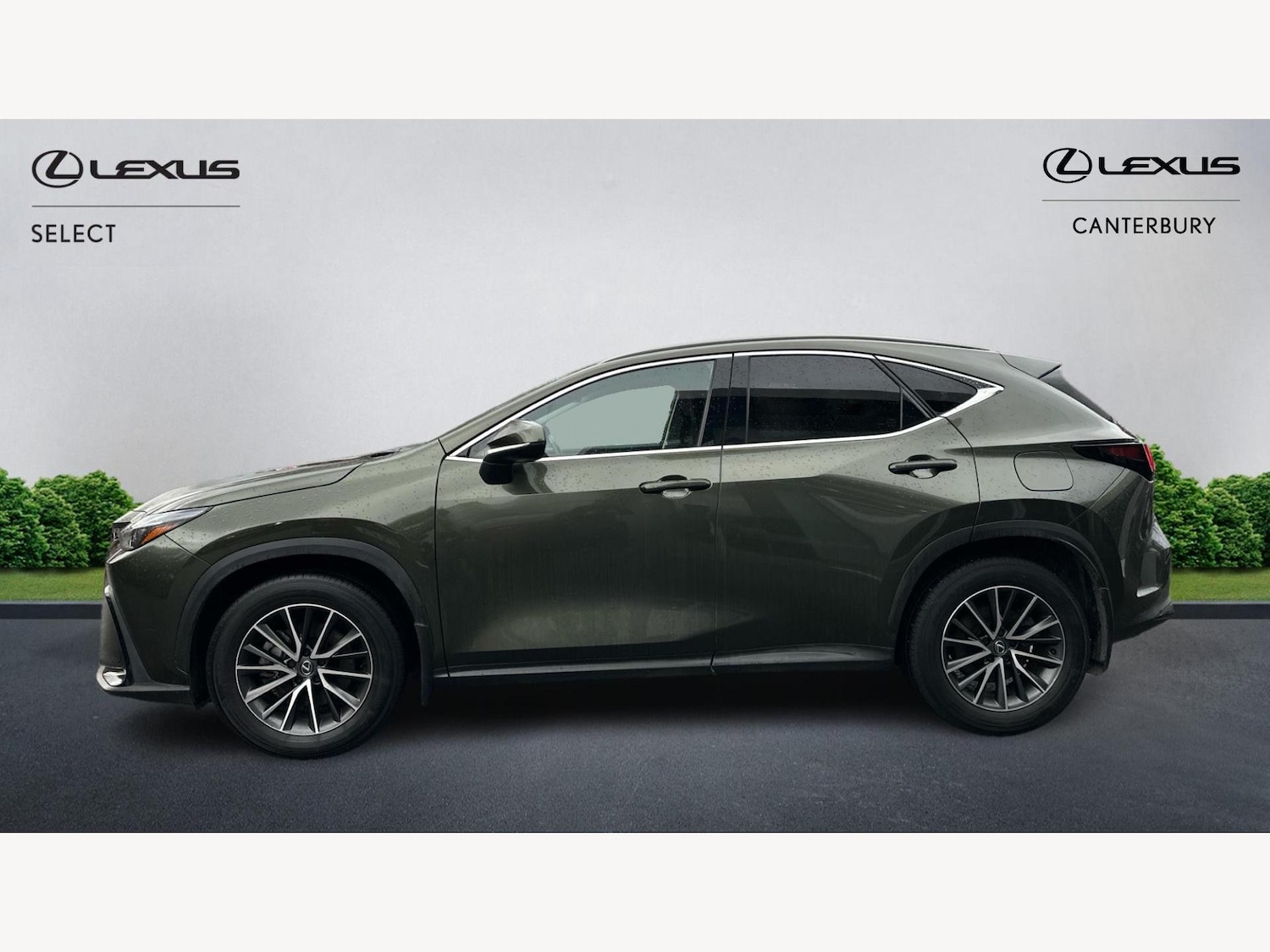 Used Lexus NX 2023 for sale - 76701899: Photo 3