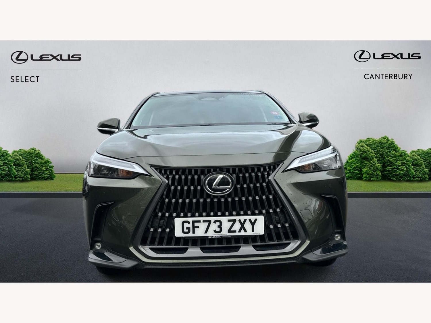 Used Lexus NX 2023 for sale - 76701899: Photo 6