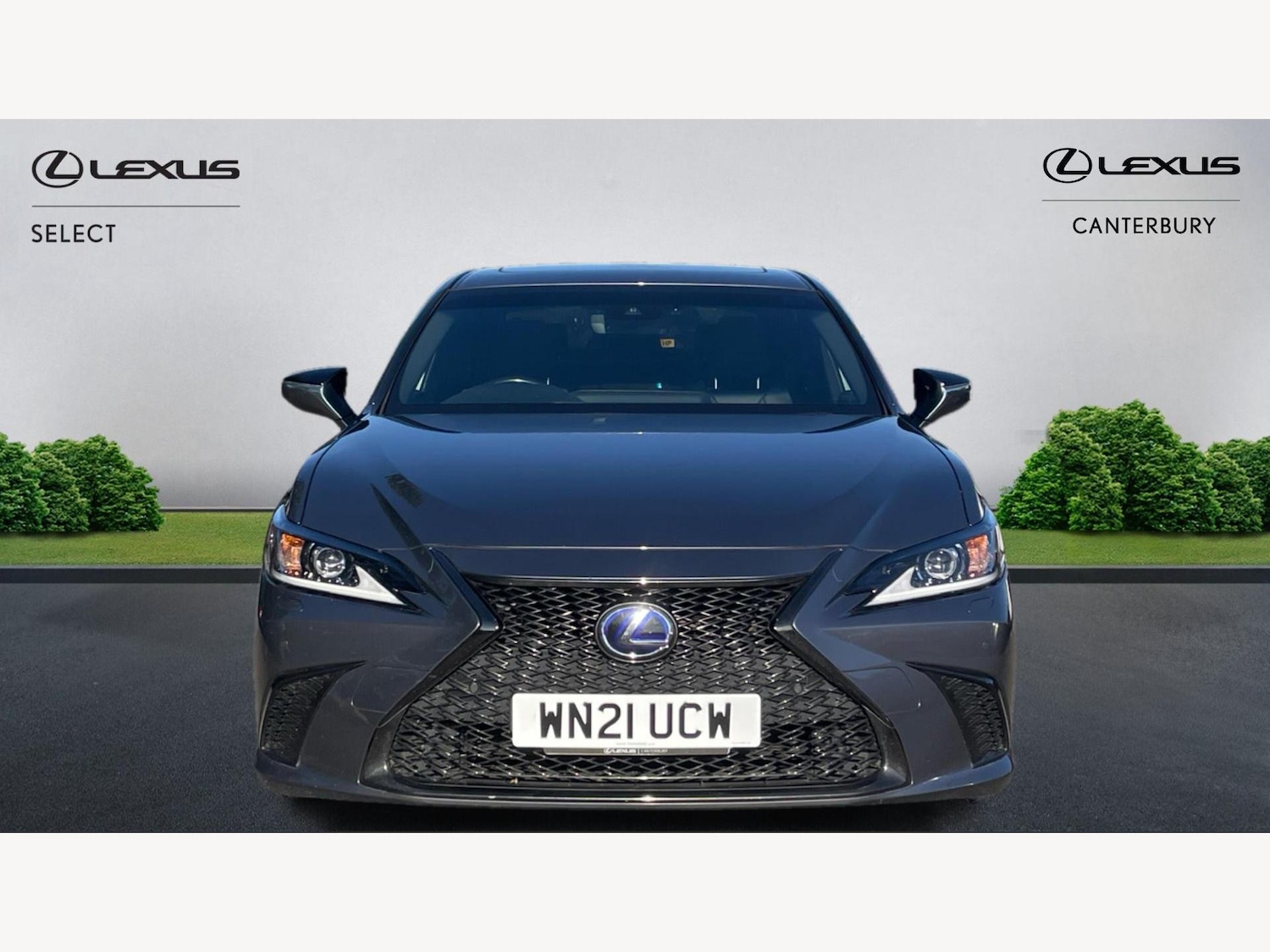 Used Lexus ES 2021 for sale - 76109095: Photo 6