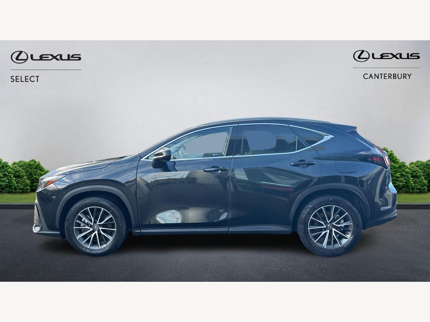 Used Lexus NX 2024 for sale - 76824724: Photo 3