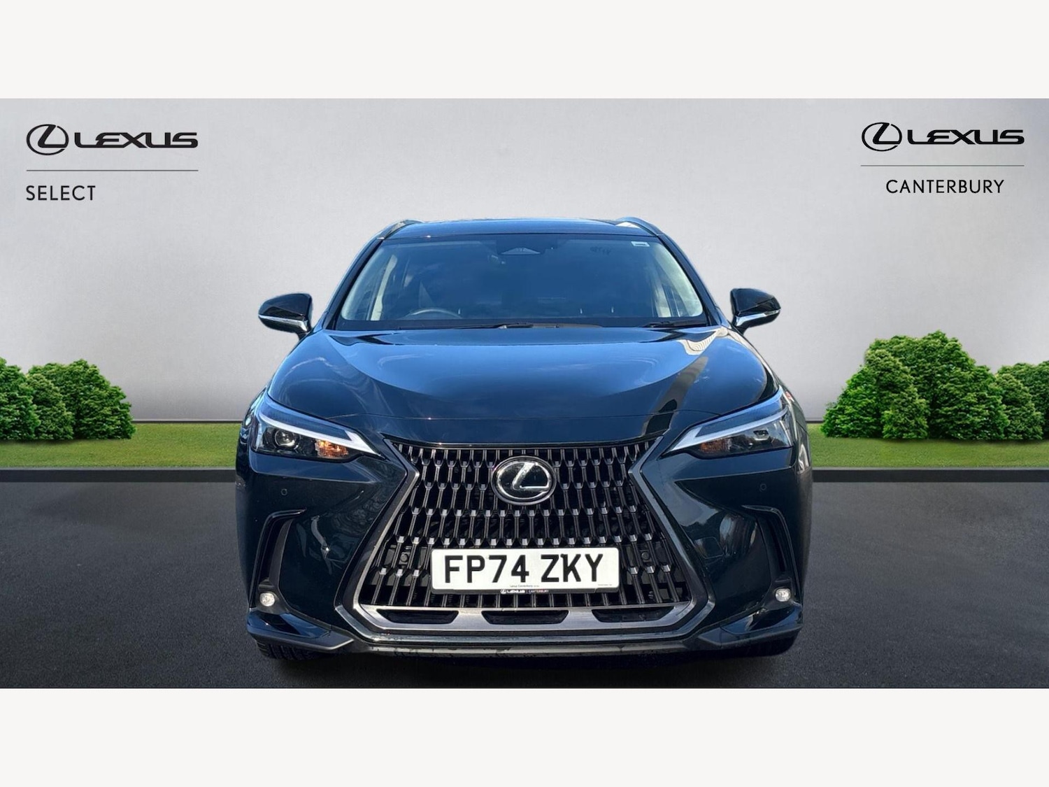 Used Lexus NX 2024 for sale - 76824724: Photo 6