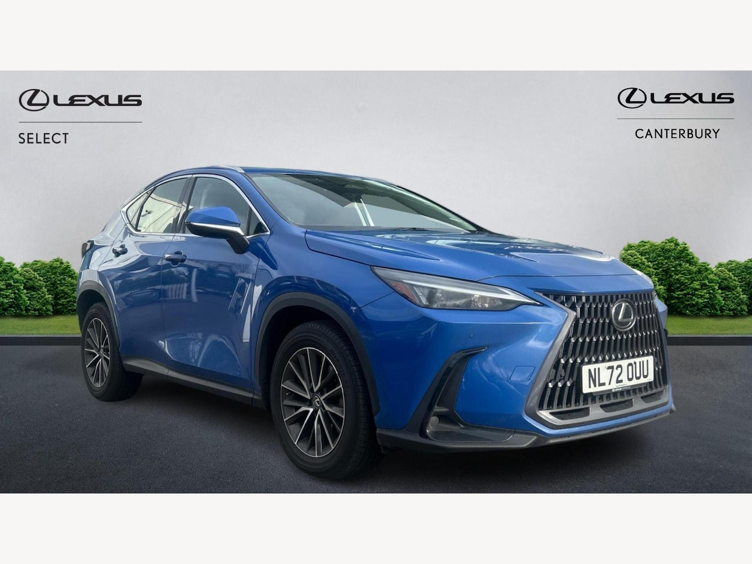 Used Lexus NX 2022 for sale - 77564610: Photo 1