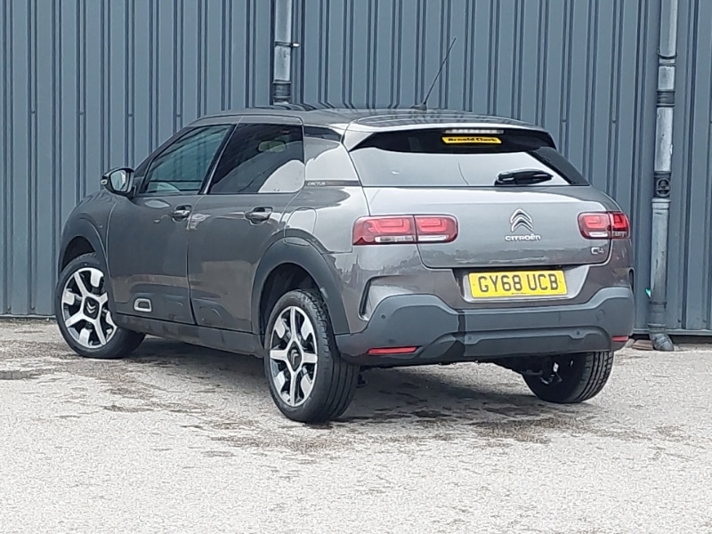 Used Citroen C4 Cactus 2019 for sale - 77816100: Photo 3