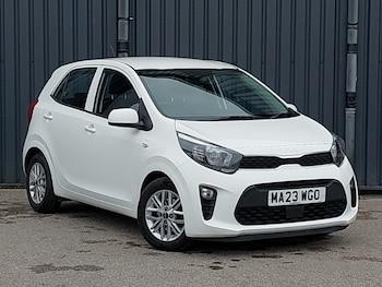 Used Kia Picanto 2023 for sale - 77503583: Photo