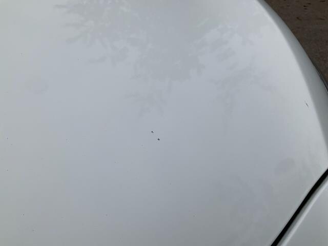 Used Peugeot Expert 2021 for sale - 77533438: Photo 42