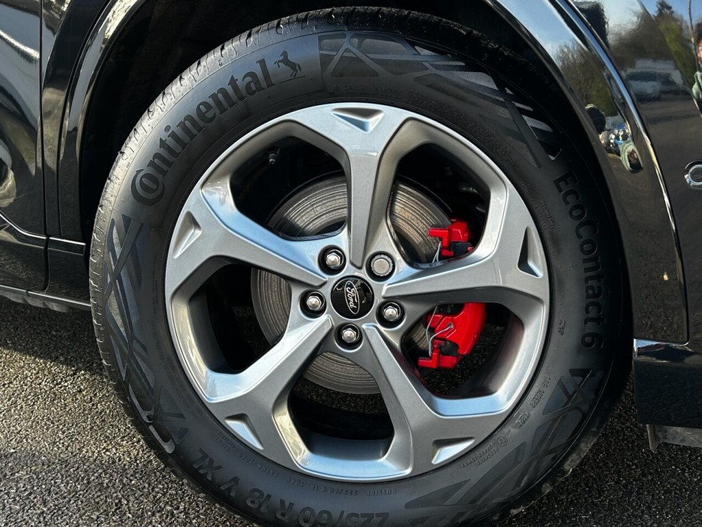 Used Ford Kuga 2024 for sale - 77836007: Photo 12