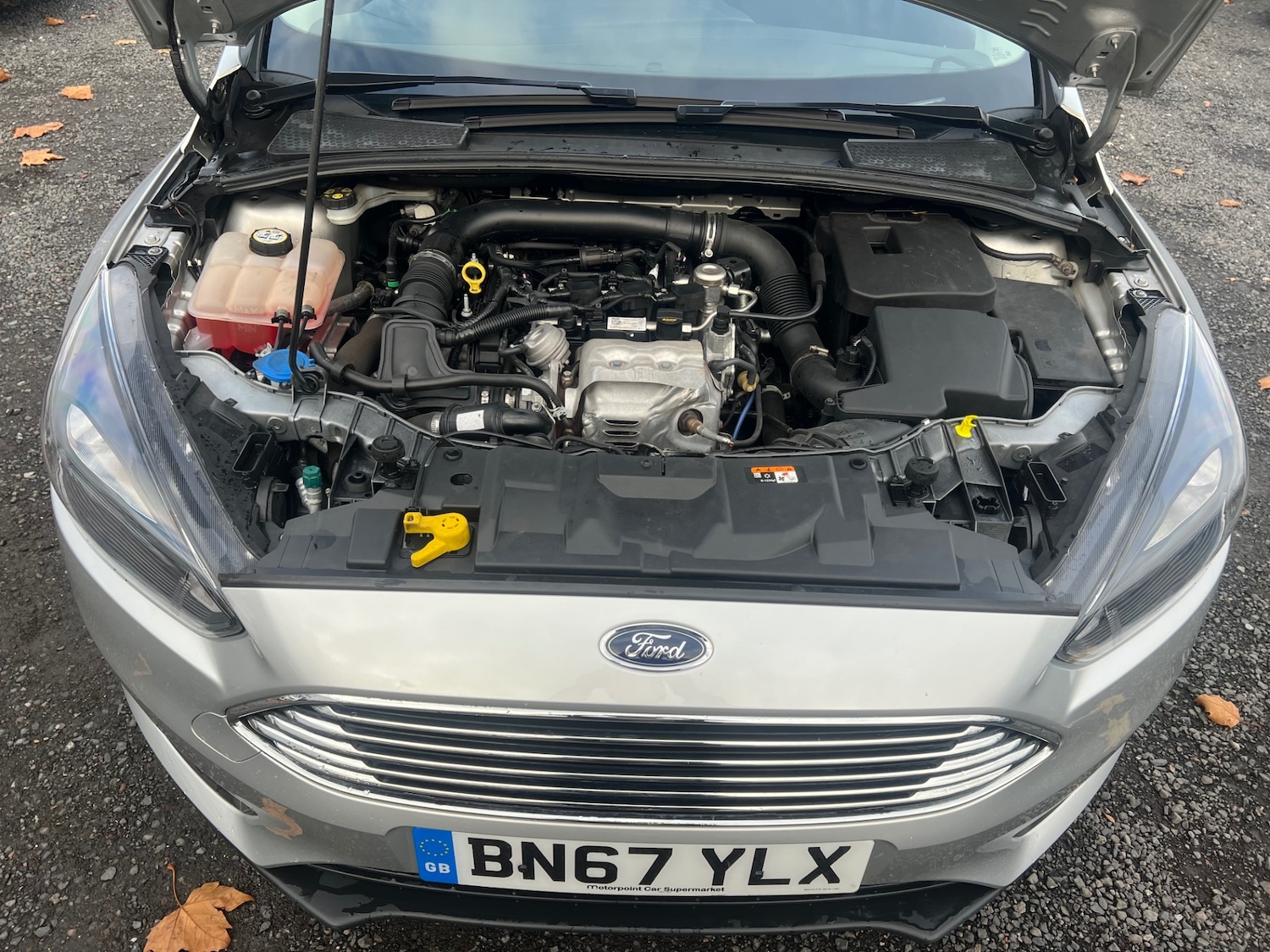 Used Ford Focus 2017 for sale - 76578400: Photo 22