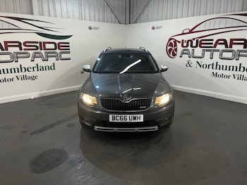 Used Skoda Octavia 2017 for sale - 79058614: Photo