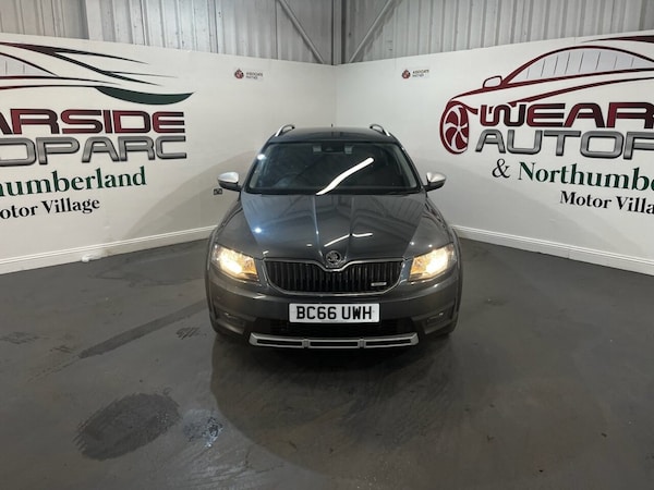 Used Skoda Octavia 2017 for sale - 75527879: Photo 2