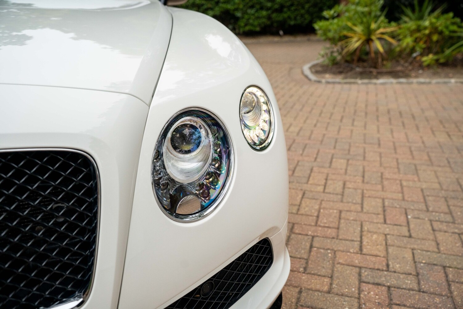 Used Bentley Continental 2015 for sale - 76107491: Photo 28