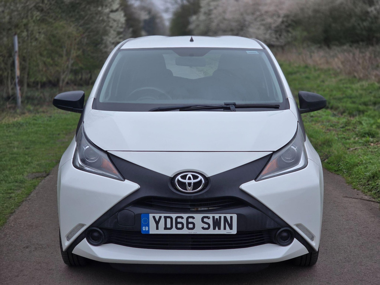 Used Toyota AYGO for sale - 77809123: Photo 2