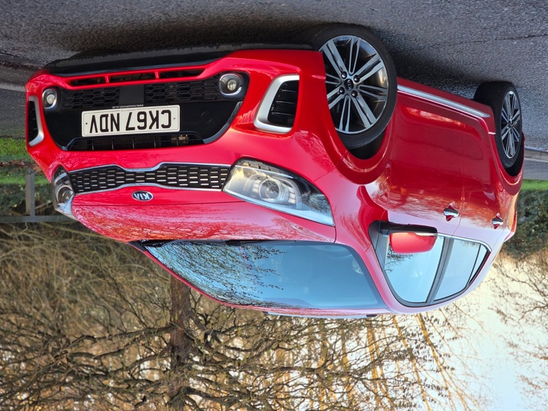 Used Kia Picanto 2017 for sale - 77014686: Photo 5