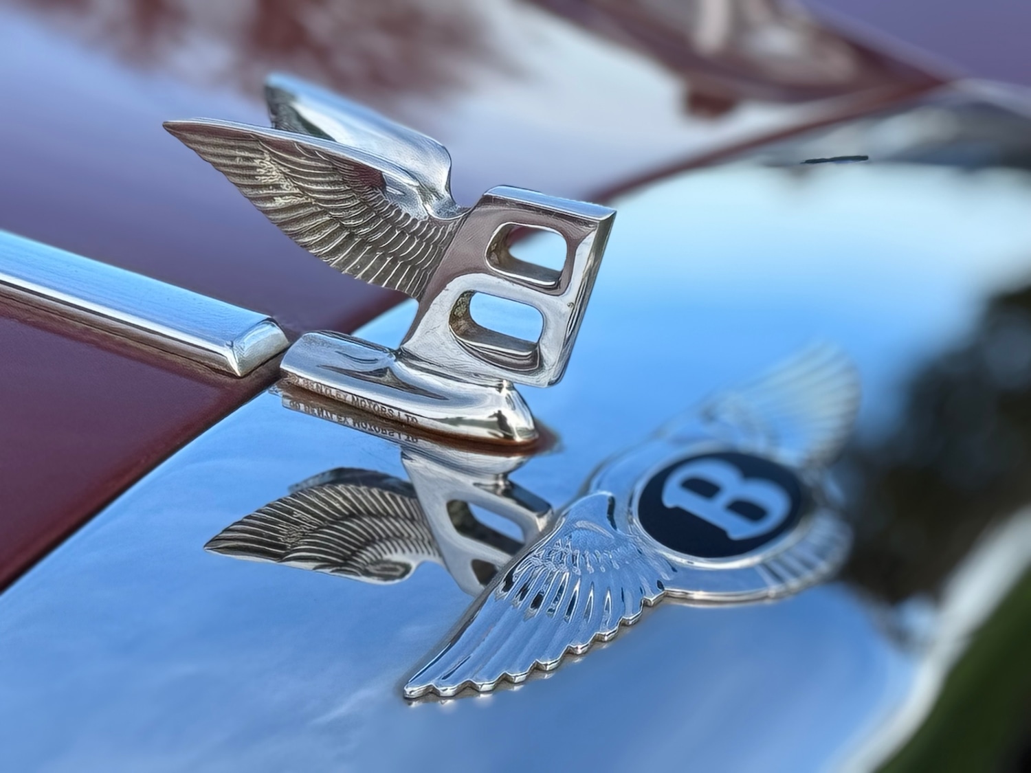 Used Bentley Mulsanne 1985 for sale - 77028348: Photo 11