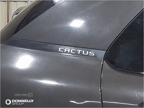 Used Citroen C4 Cactus 2018 for sale - 78101653: Photo 51