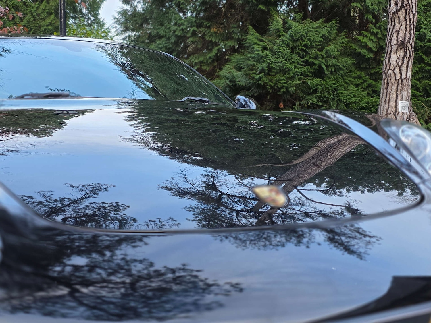 Used Porsche Cayman 2013 for sale - 76576487: Photo 47