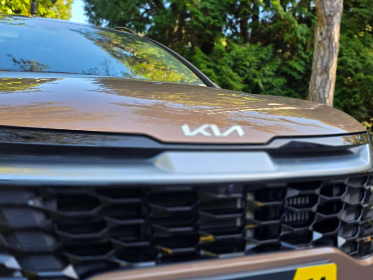 Used Kia Sportage 2022 for sale - 76402671: Photo 70