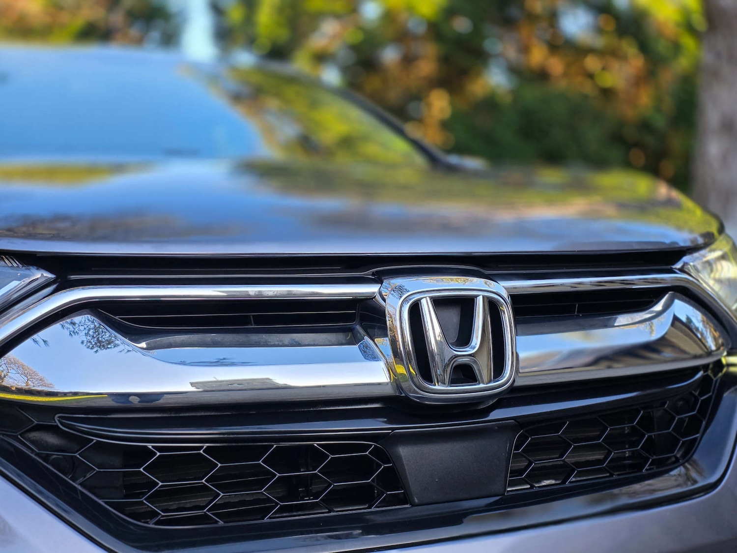 Used Honda CR-V 2019 for sale - 77045730: Photo 66