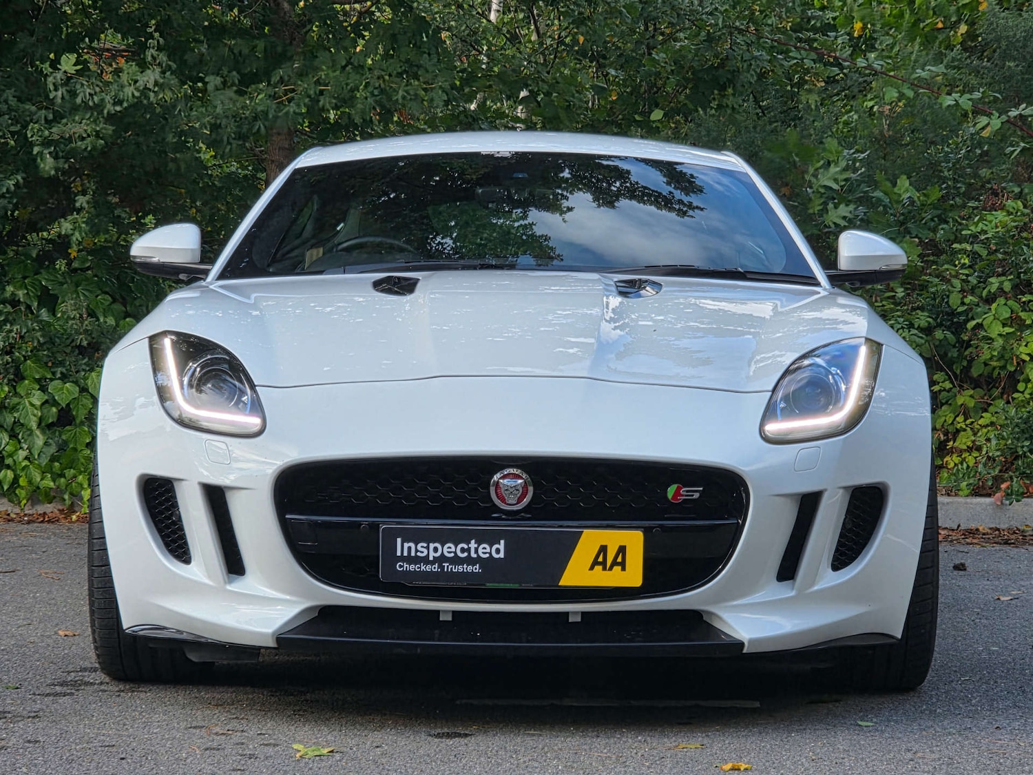 Vehicle 49