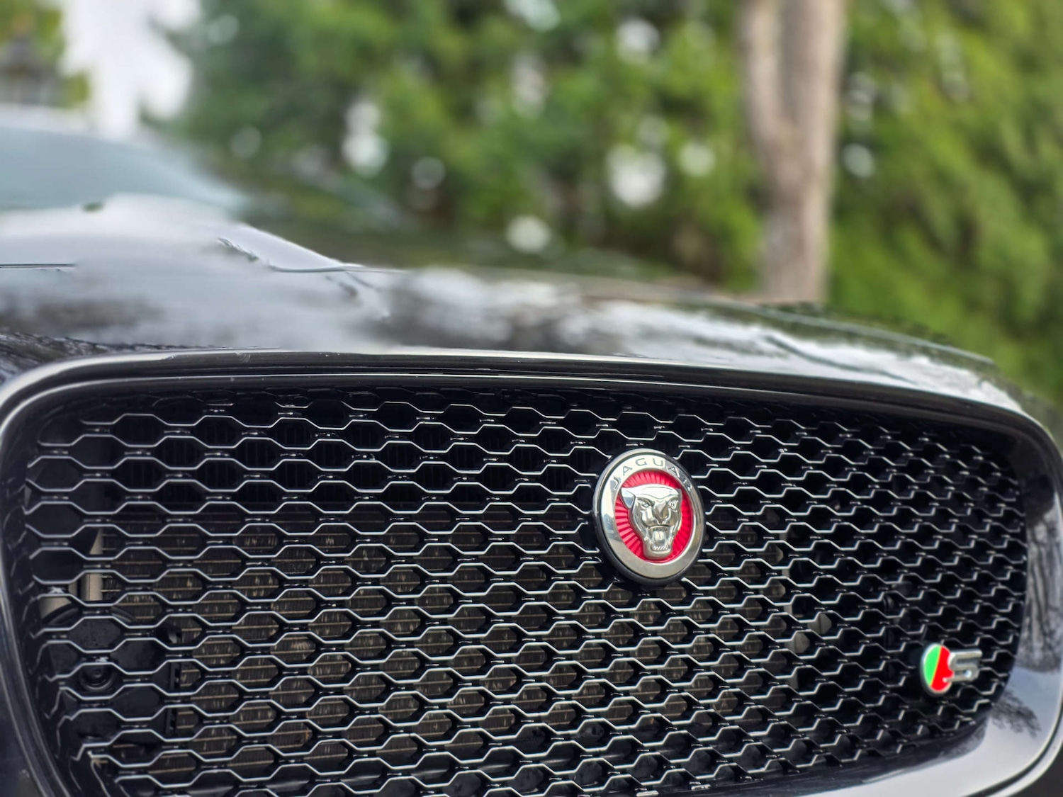 Used Jaguar F-Pace 2019 for sale - 77105767: Photo 32