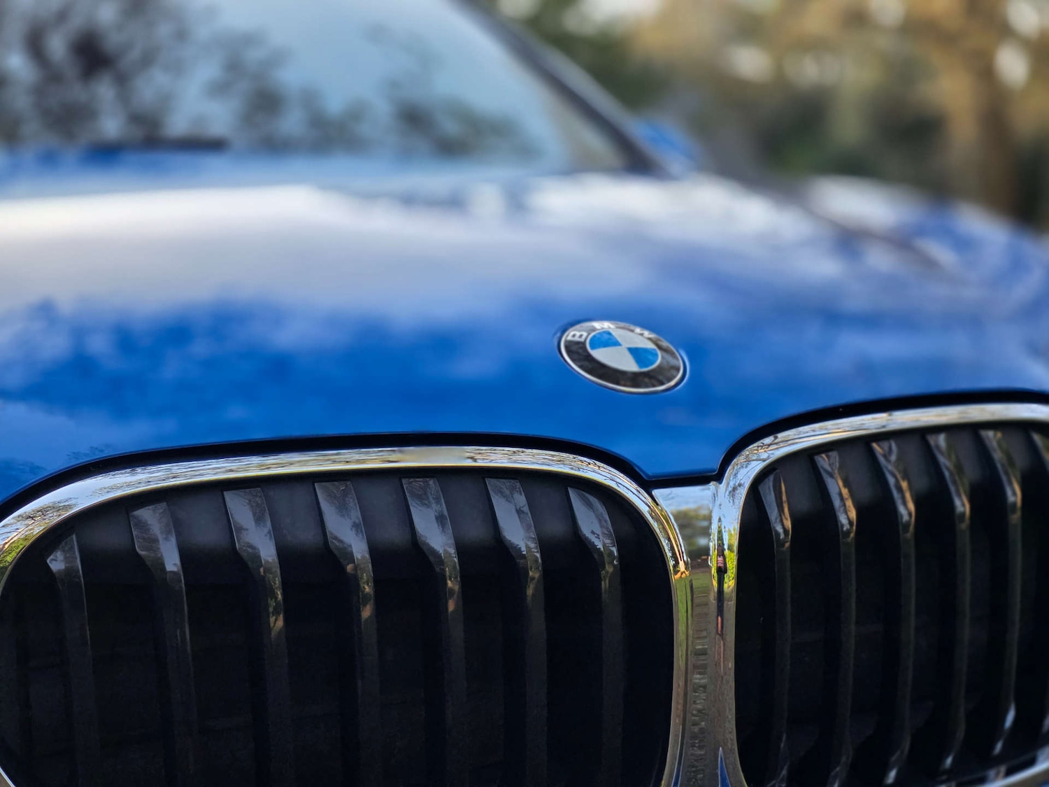 Used BMW X1 2019 for sale - 76985170: Photo 62