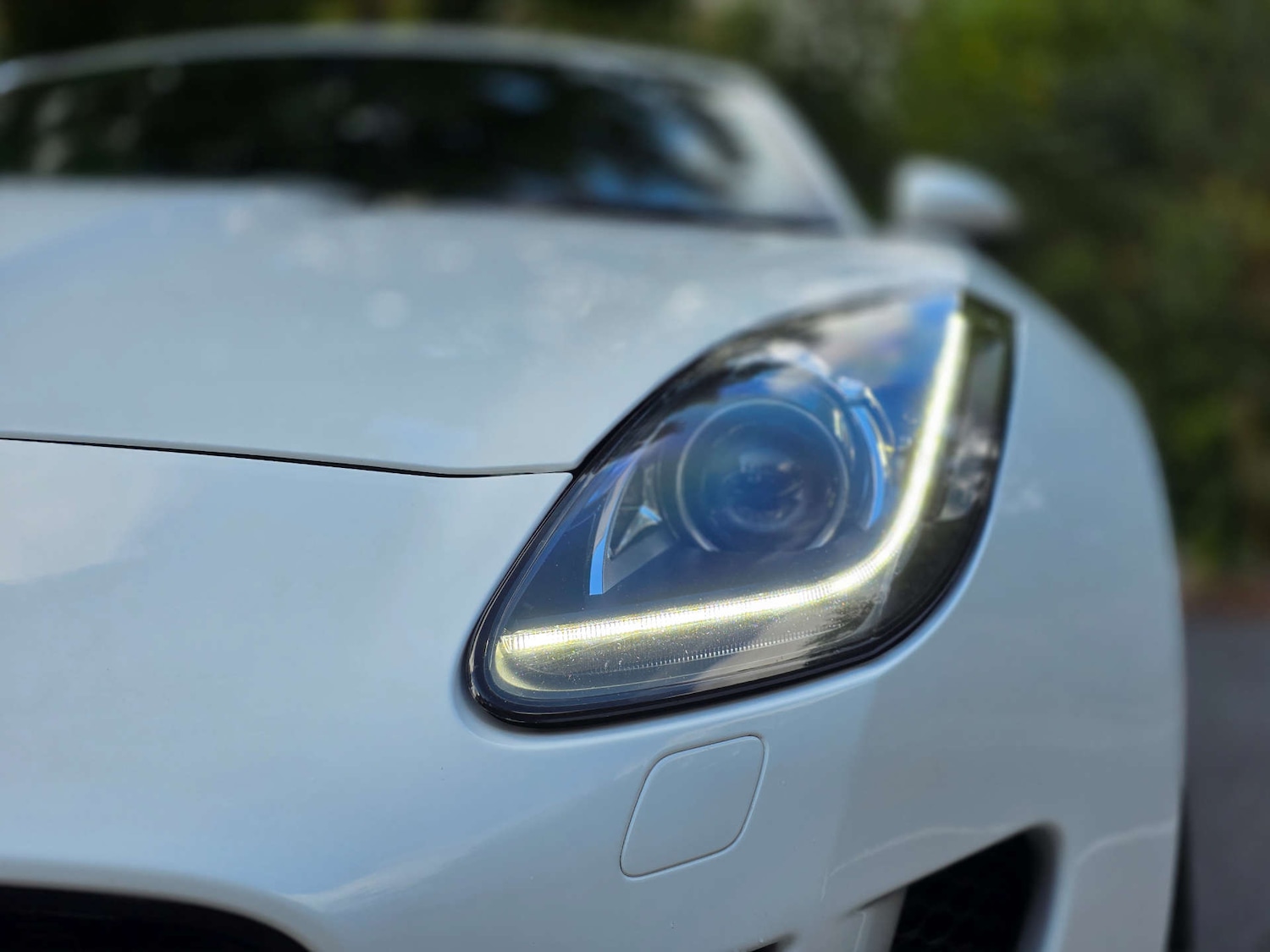 Used Jaguar F-Type 2014 for sale - 77494137: Photo 15