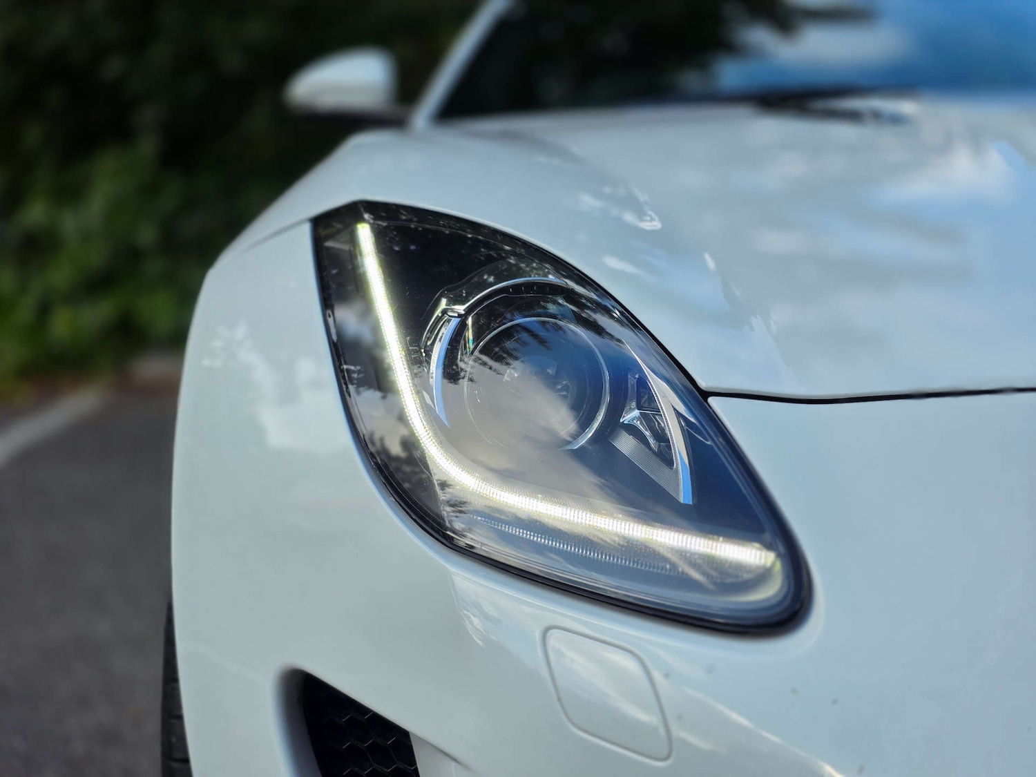 Used Jaguar F-Type 2014 for sale - 77494137: Photo 21