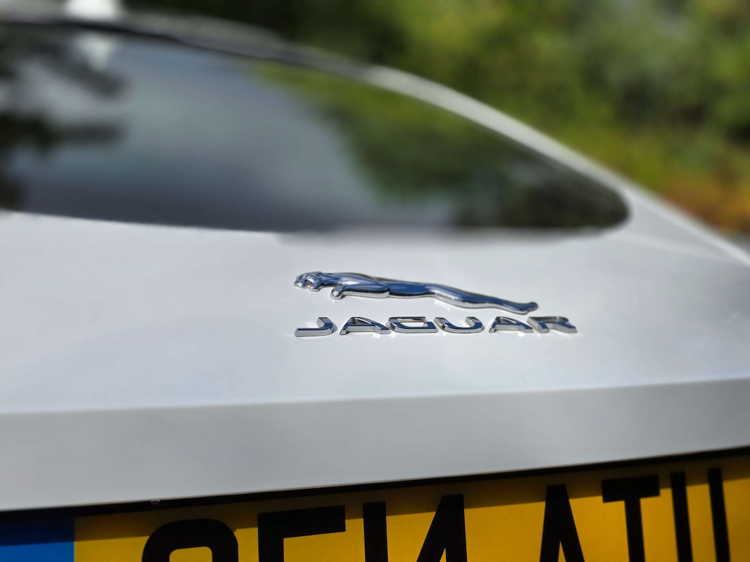 Used Jaguar F-Type 2014 for sale - 77494137: Photo 24